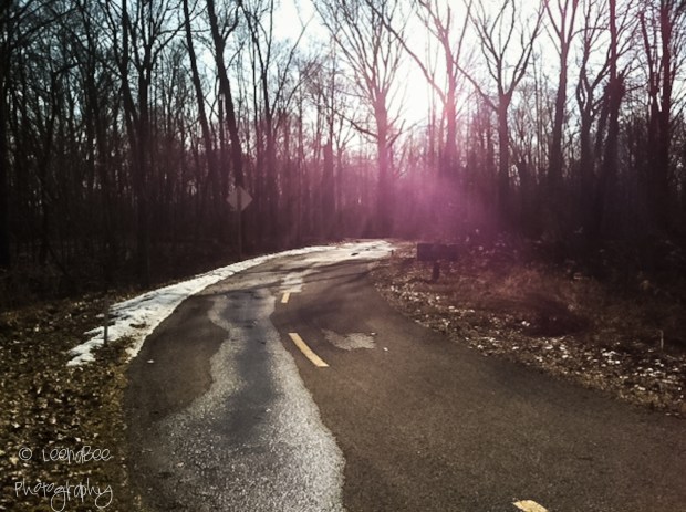 DCVB-3-Glacier Ridge