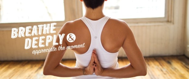 3e00ab9461c3a61d6f76cf49e5cc913f