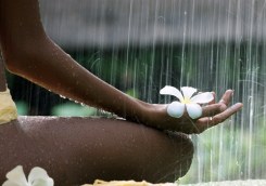 58195020155020585_Zac94us0_f (1)