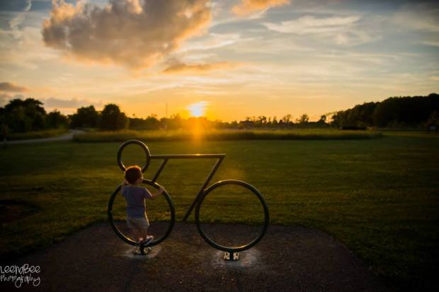 1525245_784481865003035_1786780248605391068_n