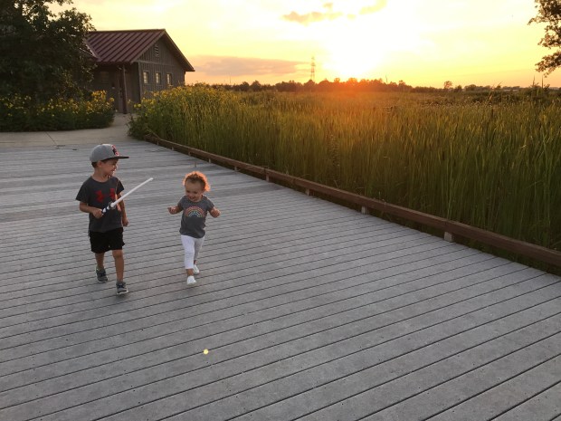 1545C6BD-85EA-4A21-8EEA-A4AE9F544461