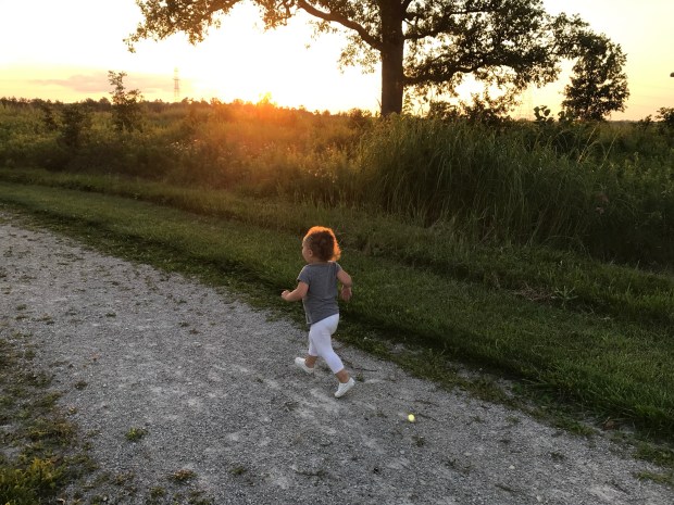 40B21256-941C-486B-81D8-3BABC4A0CBD7