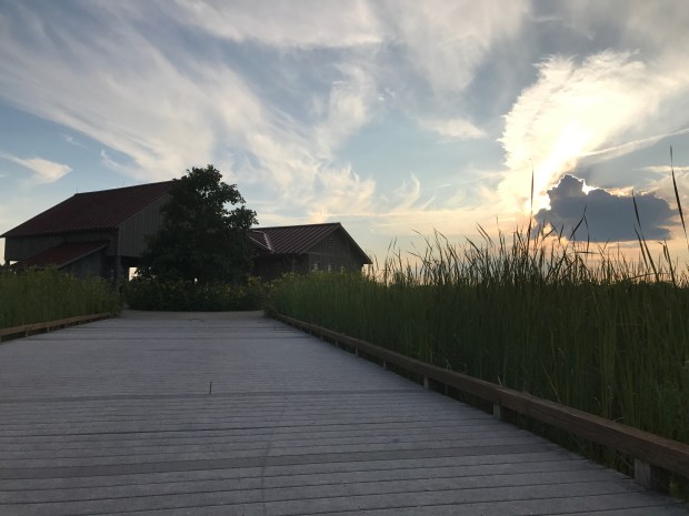 60A383FE-D5BE-44BE-A643-4638722DED85