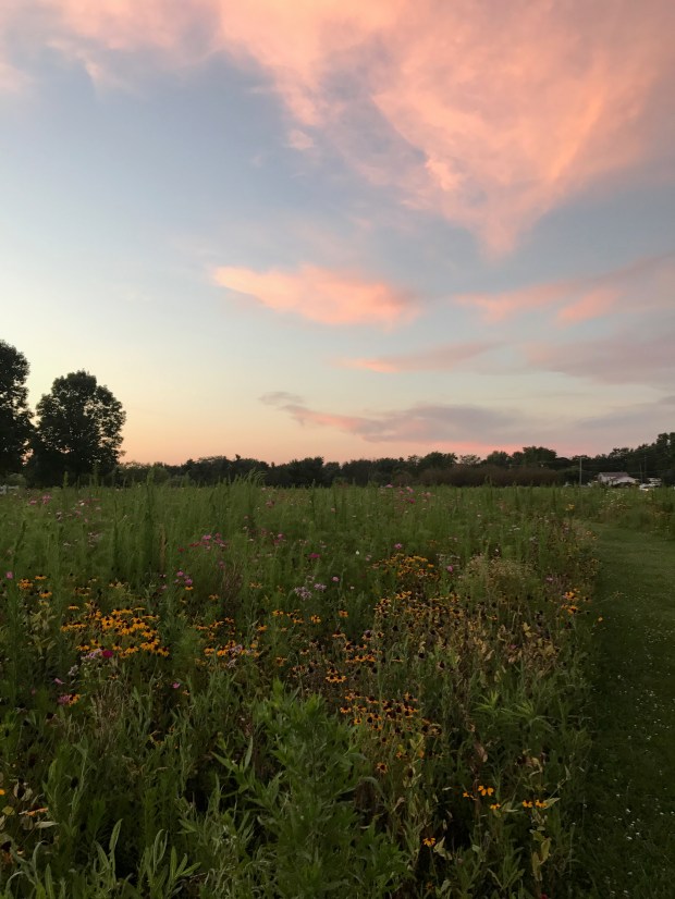 9DD7C899-0AB1-4B90-82D9-F70D4A2EDD88