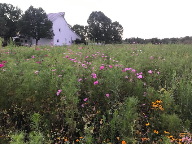 C9D2CCB4-0F94-40F0-8219-77F6E95BF484